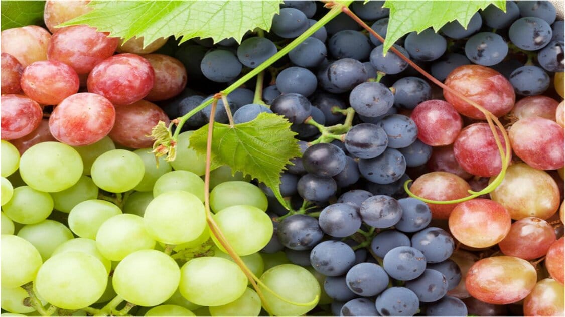 ما هي فوائد العنب؟ كيف تعمل عصير العنب وما فائدته؟